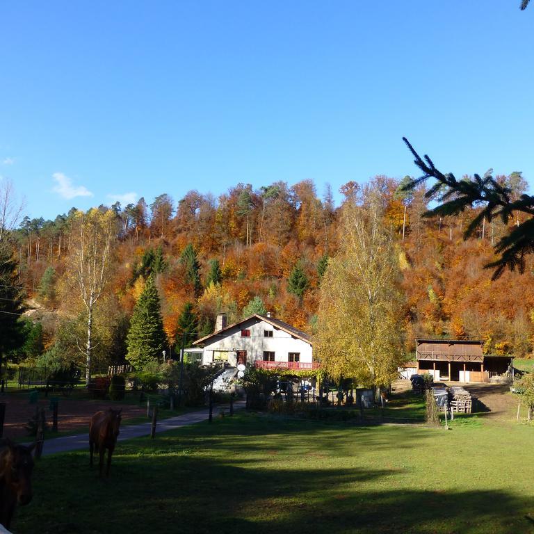 L'Echappee Verte - Gite Equestre 5 Pers Soucht Zimmer foto